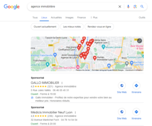 campagnes locales google ads agences immobilières