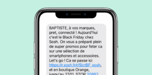exemple sms maronnier - black friday